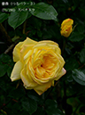 %_tempFileName071-r3400-20260506-1606%
