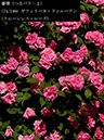 %_tempFileName074-r3459-20260517-0367%