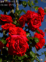 %_tempFileName078-r3678-20260517-0014%