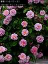 %_tempFileName079-r3830-20260508-0152%