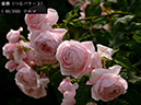 %_tempFileName088-r4280-20260524-0284%