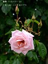 %_tempFileName091-r4515-20260523-1628%