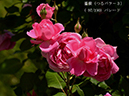%_tempFileName097-r4730-20260519-0633%
