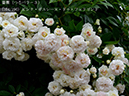 %_tempFileName104-r4966-20260523-1612%