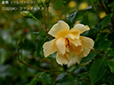 %_tempFileName112-r5467-20260506-1518%