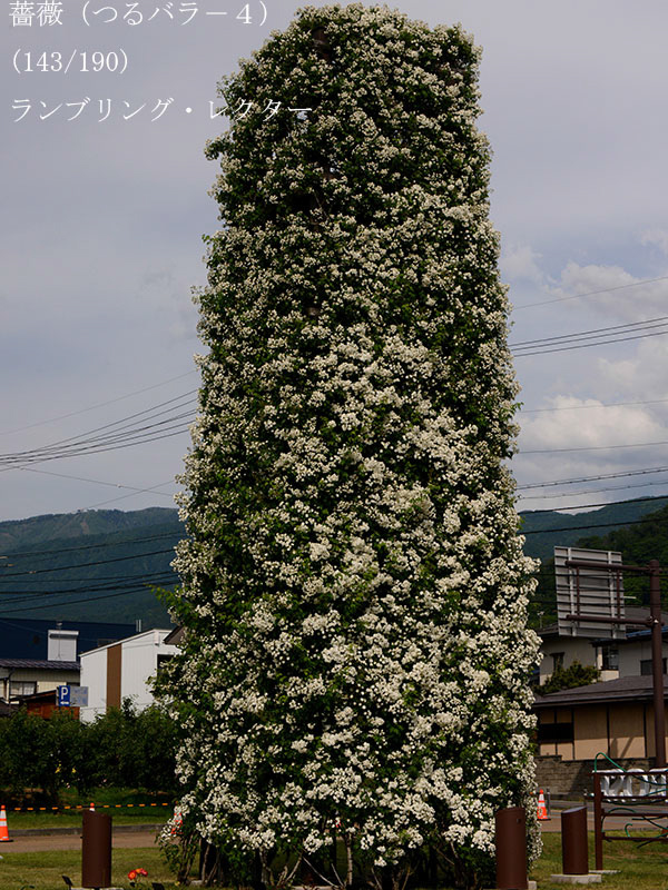 %_tempFileName143-r7302-20260531-1508%