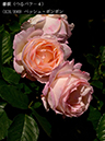 %_tempFileName121-r5840-20260517-1048%