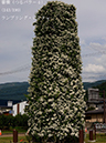 %_tempFileName143-r7302-20260531-1508%