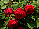%_tempFileName145-r7364-20260519-0482%