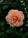 %_tempFileName153-r7747-20260506-1667%