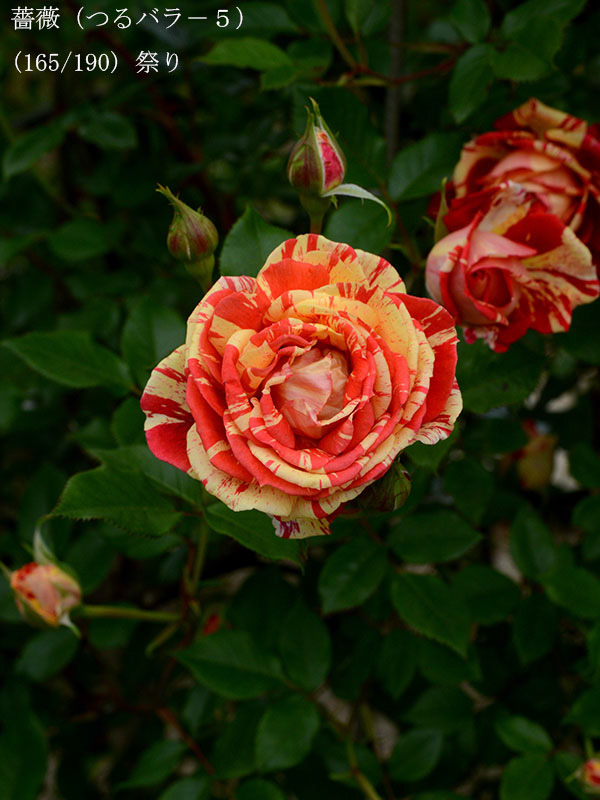 %_tempFileName165-r8389-20260506-1625%