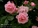 %_tempFileName174-r8643-20260508-0619%