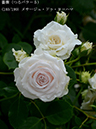 %_tempFileName180-r9216-20260523-2001%