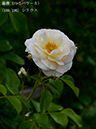 %_tempFileName189-r9447-20260523-1901%
