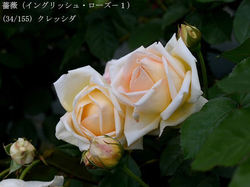 %_tempFileName034-r1937-20260513-1538%