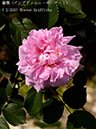 %_tempFileName002-r0071-20260513-1710%