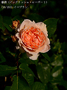 %_tempFileName010-r0593-20260505-0003%