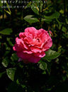 %_tempFileName013-r0670-20260513-1310%