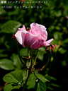 %_tempFileName017-r0830-20260505-2037%