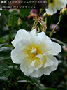 %_tempFileName020-r0863-20260513-1885%