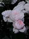 %_tempFileName023-r1079-20260513-1501%