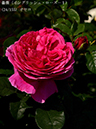 %_tempFileName024-r1258-20260513-1719%