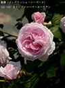 %_tempFileName025-r1300-20260513-1203%