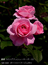 %_tempFileName026-r1376-20260513-1218%