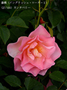 %_tempFileName027-r1564-20260513-1862%