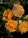 %_tempFileName031-r1775-20260517-0069%