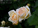 %_tempFileName034-r1937-20260513-1538%