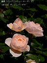 %_tempFileName040-r2339-20260505-1376%