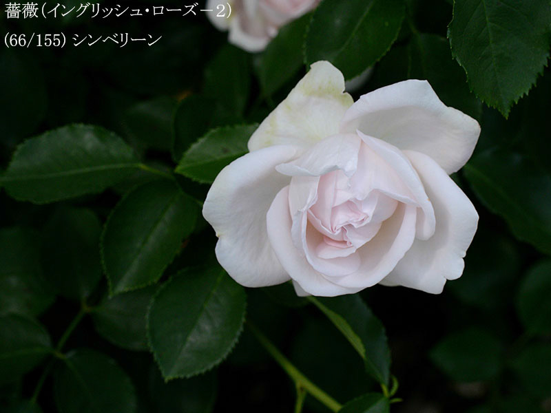 %_tempFileName066-r3126-20260513-1910%