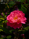 %_tempFileName044-r2349-20260513-1701%
