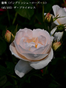 %_tempFileName045-r2357-20260513-1492%
