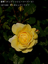 %_tempFileName047-r2364-20260513-1647%