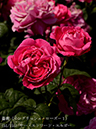 %_tempFileName051-r2377-20260513-1588%