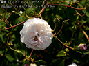 %_tempFileName056-r2608-20260513-1630%