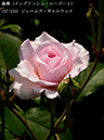 %_tempFileName057-r2652-20260513-1443%