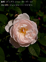 %_tempFileName058-r2705-20260505-2045%