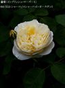 %_tempFileName060-r2773-20260513-1546%