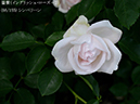 %_tempFileName066-r3126-20260513-1910%