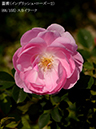 %_tempFileName068-r3259-20260513-1517%