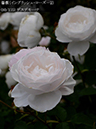 %_tempFileName080-r3946-20260513-1830%