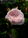 %_tempFileName085-r4461-20260513-1359%
