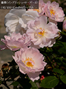 %_tempFileName092-r4834-20260513-1476%