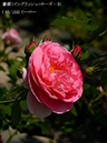 %_tempFileName093-r4844-20260513-1255%