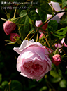 %_tempFileName094-r4907-20260513-1730%
