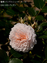 %_tempFileName102-r5720-20260513-1639%