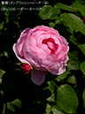 %_tempFileName104-r5829-20260513-1260%